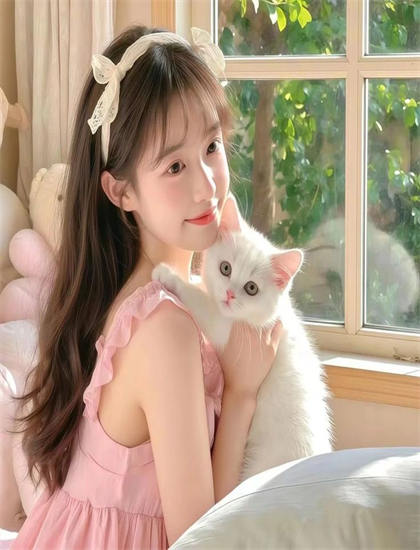 鬼獒咬死藏獒视频-风吹半夏在哪个电视台播放